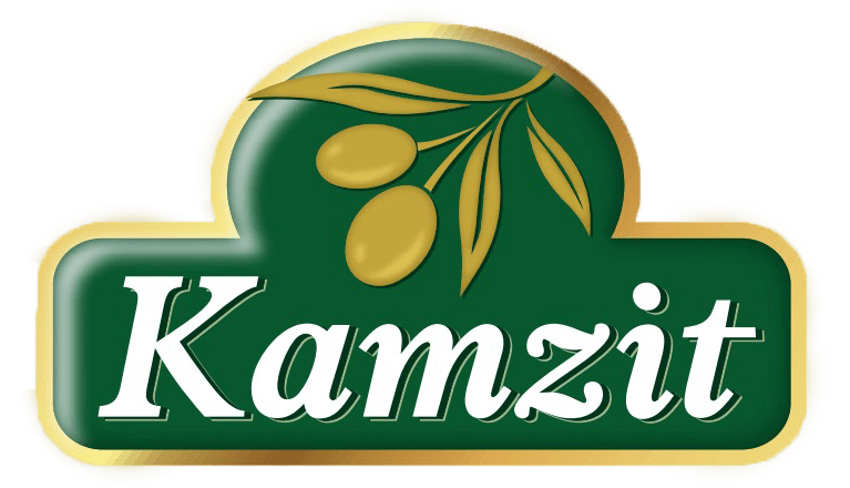 kamzit EN logo